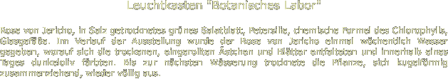 Leuchtkasten "Botanisches Labor"