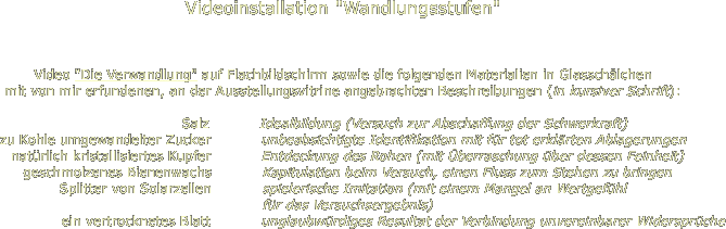 Videoinstallation "Wandlungsstufen"